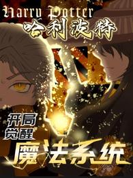 Harry Potter: Gambit Awakening Magic System